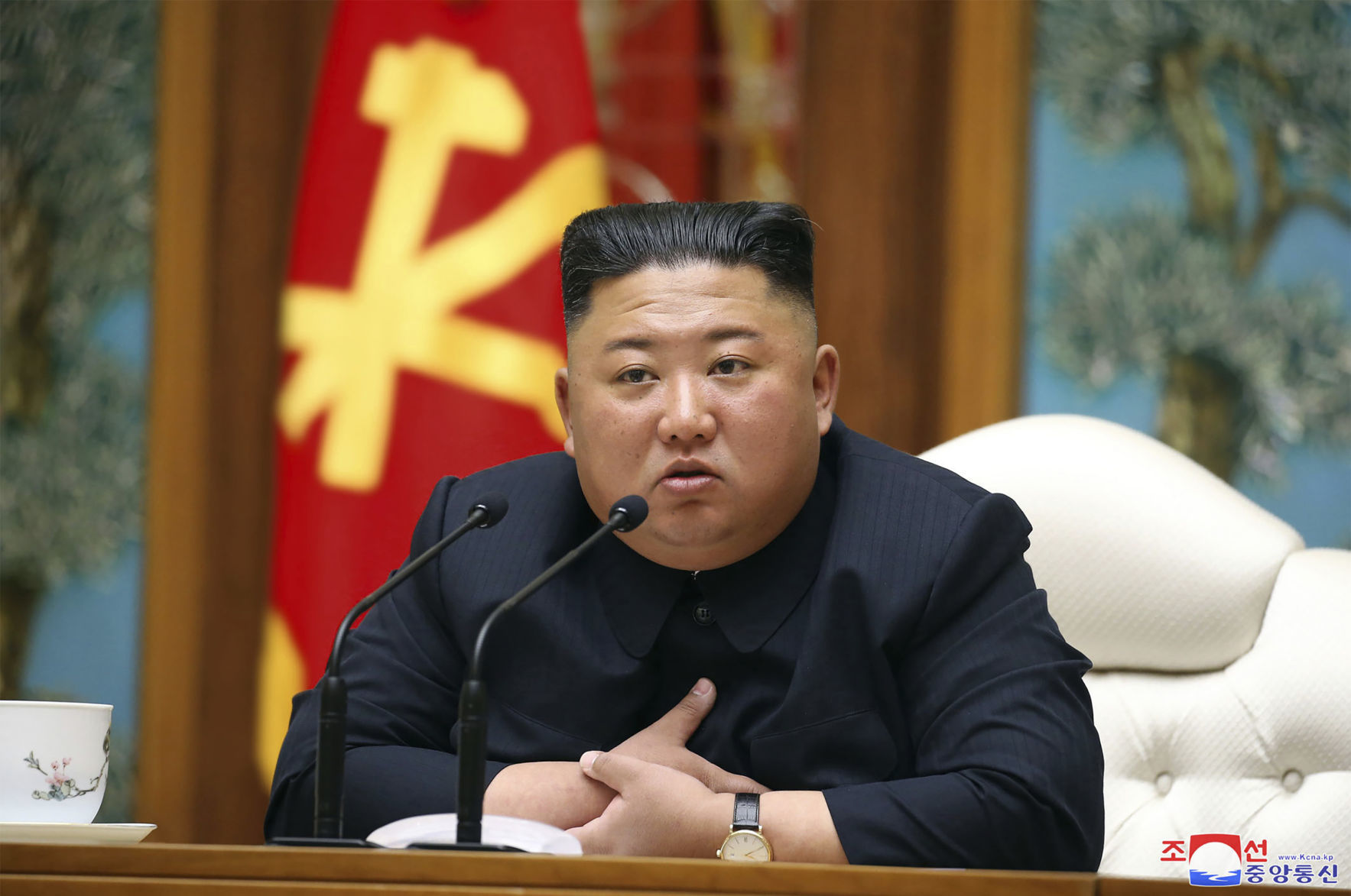 North Korea Kim The Public Eye